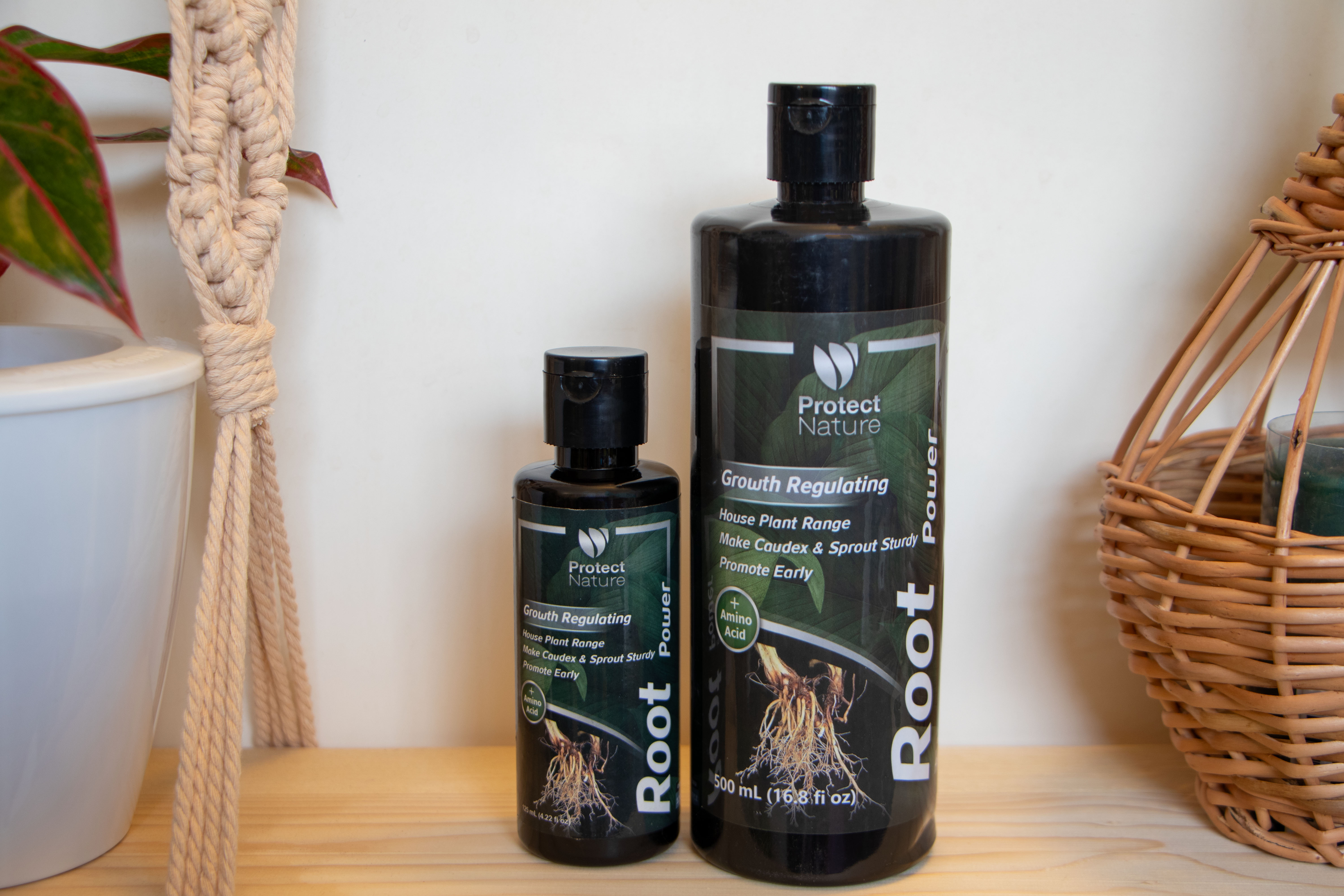 هورمون ریشه زا